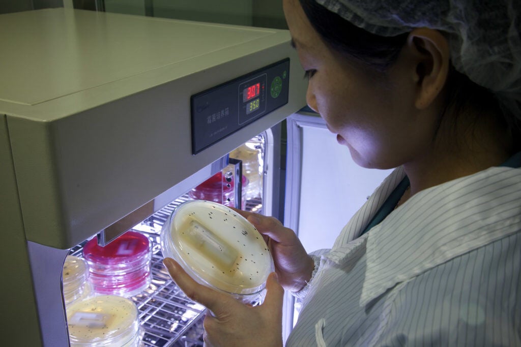 Prov-Gallery_IMG_3916-Bioburden-Testing-1024x683